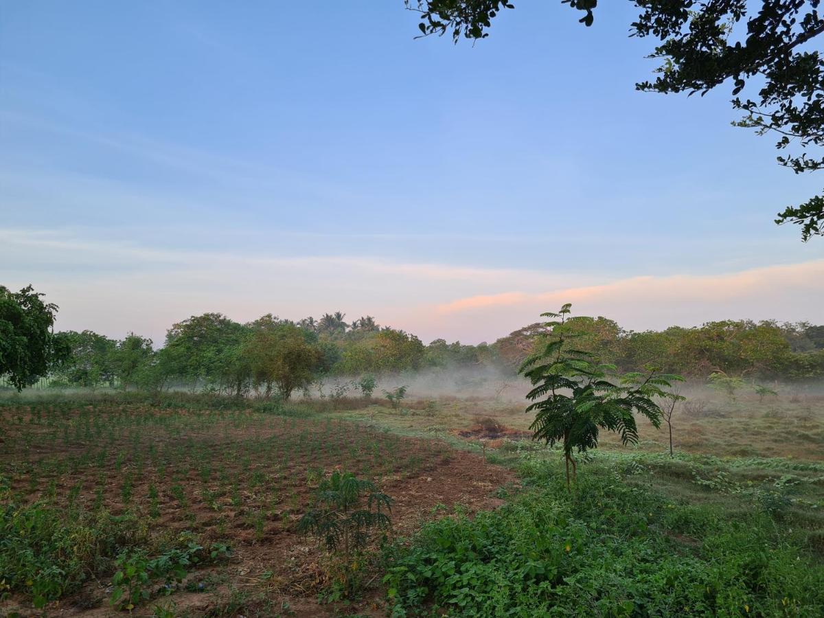Ranakeliya Lodge - Yala Dış mekan fotoğraf
