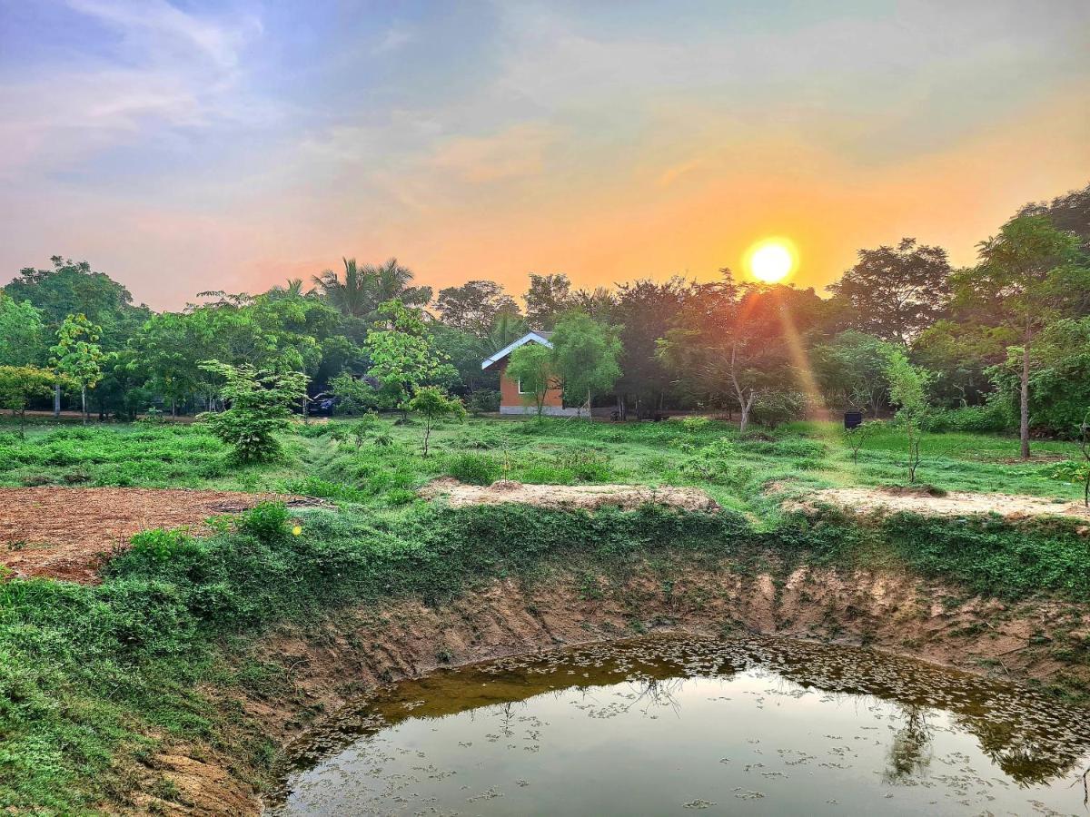 Ranakeliya Lodge - Yala Dış mekan fotoğraf