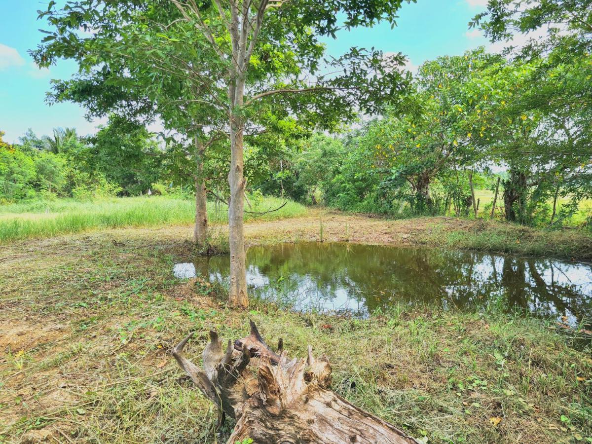 Ranakeliya Lodge - Yala Dış mekan fotoğraf