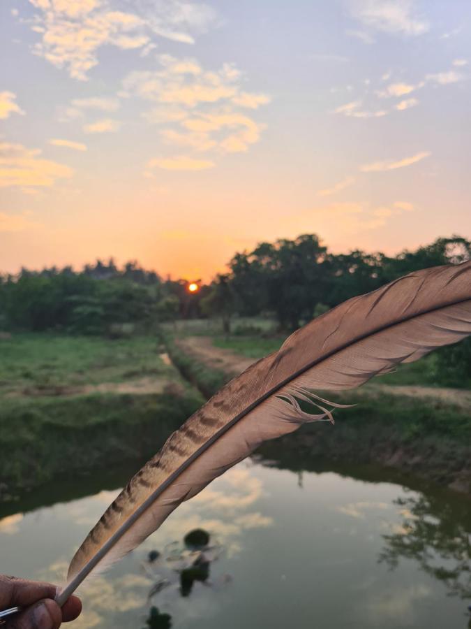 Ranakeliya Lodge - Yala Dış mekan fotoğraf